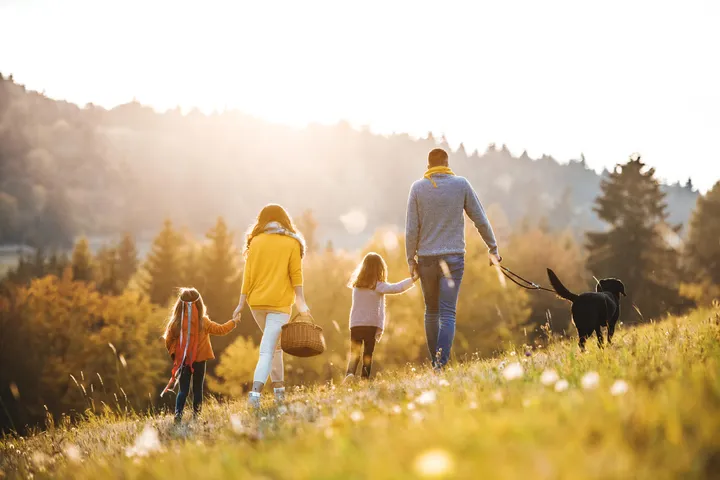 A family walking together through a sunlit field