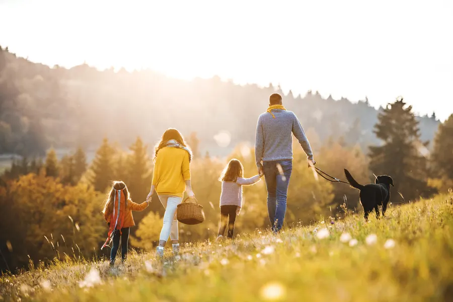 A family walking together through a sunlit field